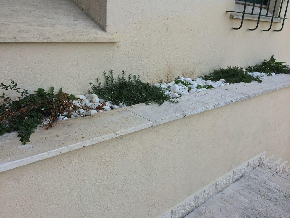 פיאצ'נצה Residence Europa מראה חיצוני תמונה
